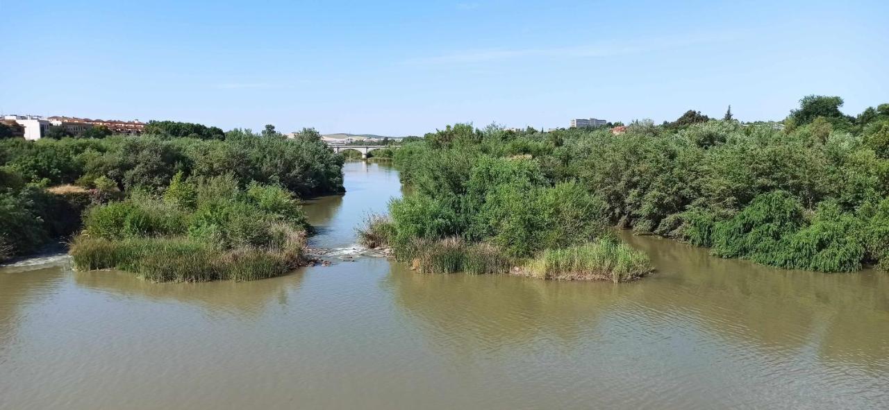 La Pequena Taifa I Daire Cordoba Dış mekan fotoğraf
