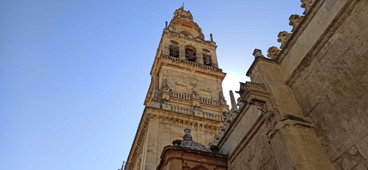 La Pequena Taifa I Daire Cordoba Dış mekan fotoğraf