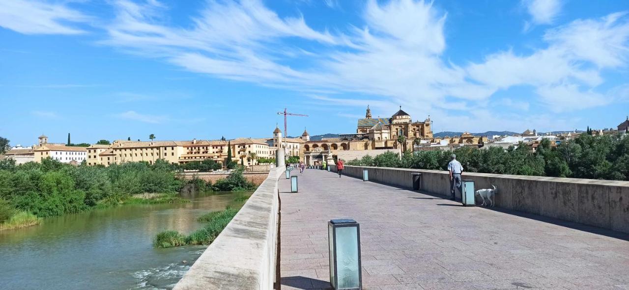 La Pequena Taifa I Daire Cordoba Dış mekan fotoğraf